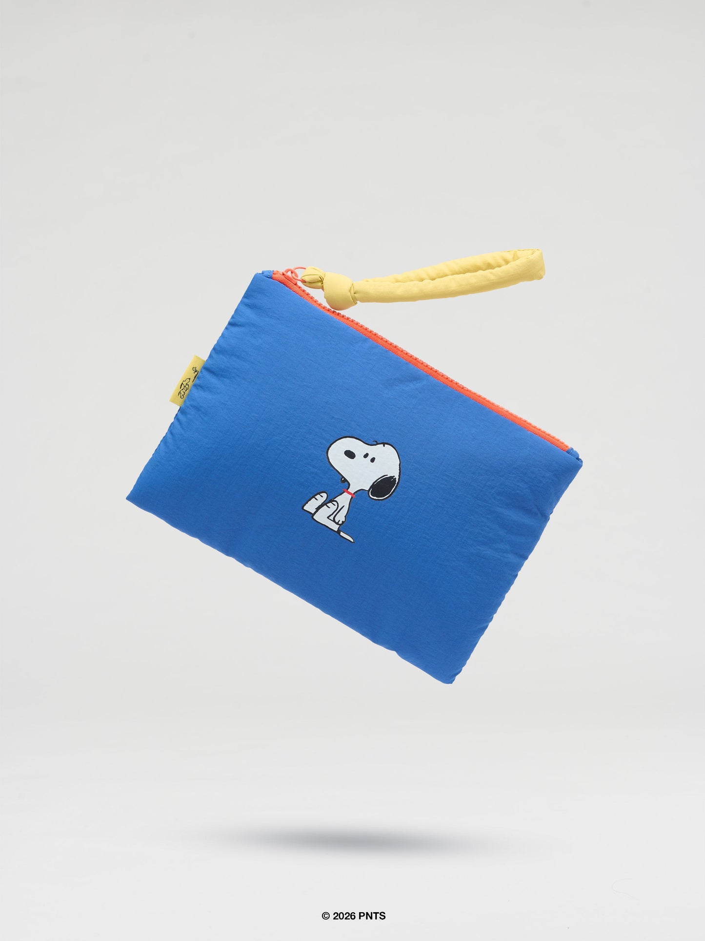 Padded Pouch